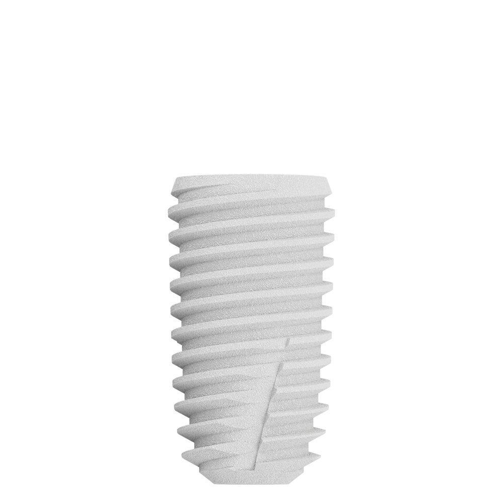 CS5010