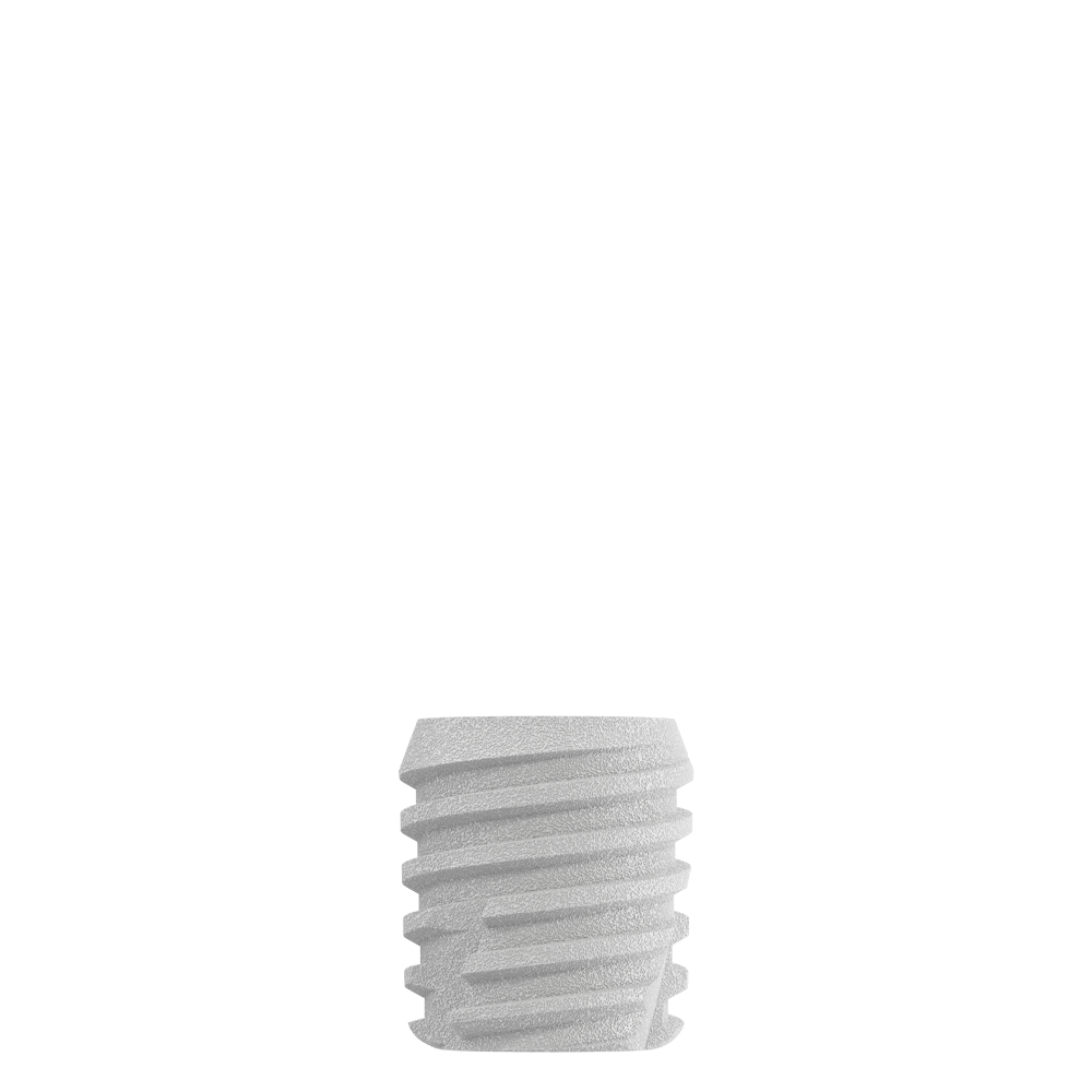 CS4505