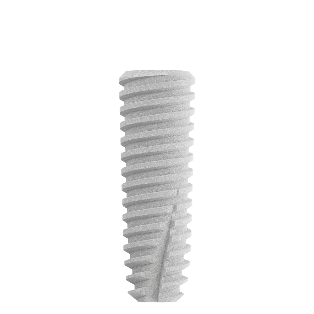 CS4012