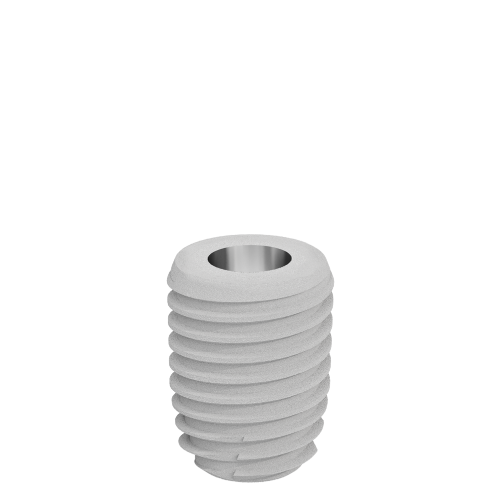 CS6008