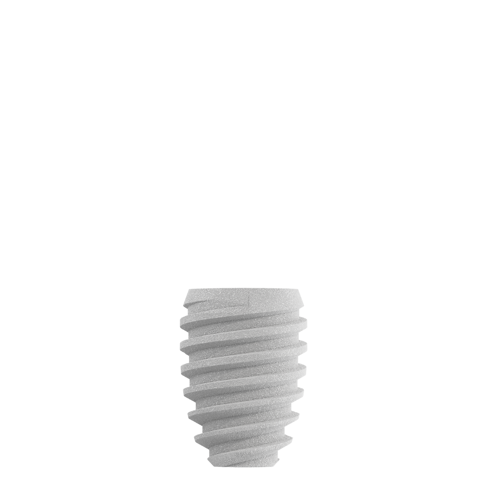 CS4306