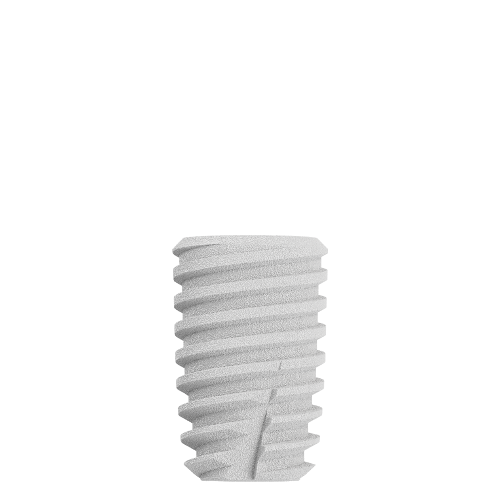 CS4508