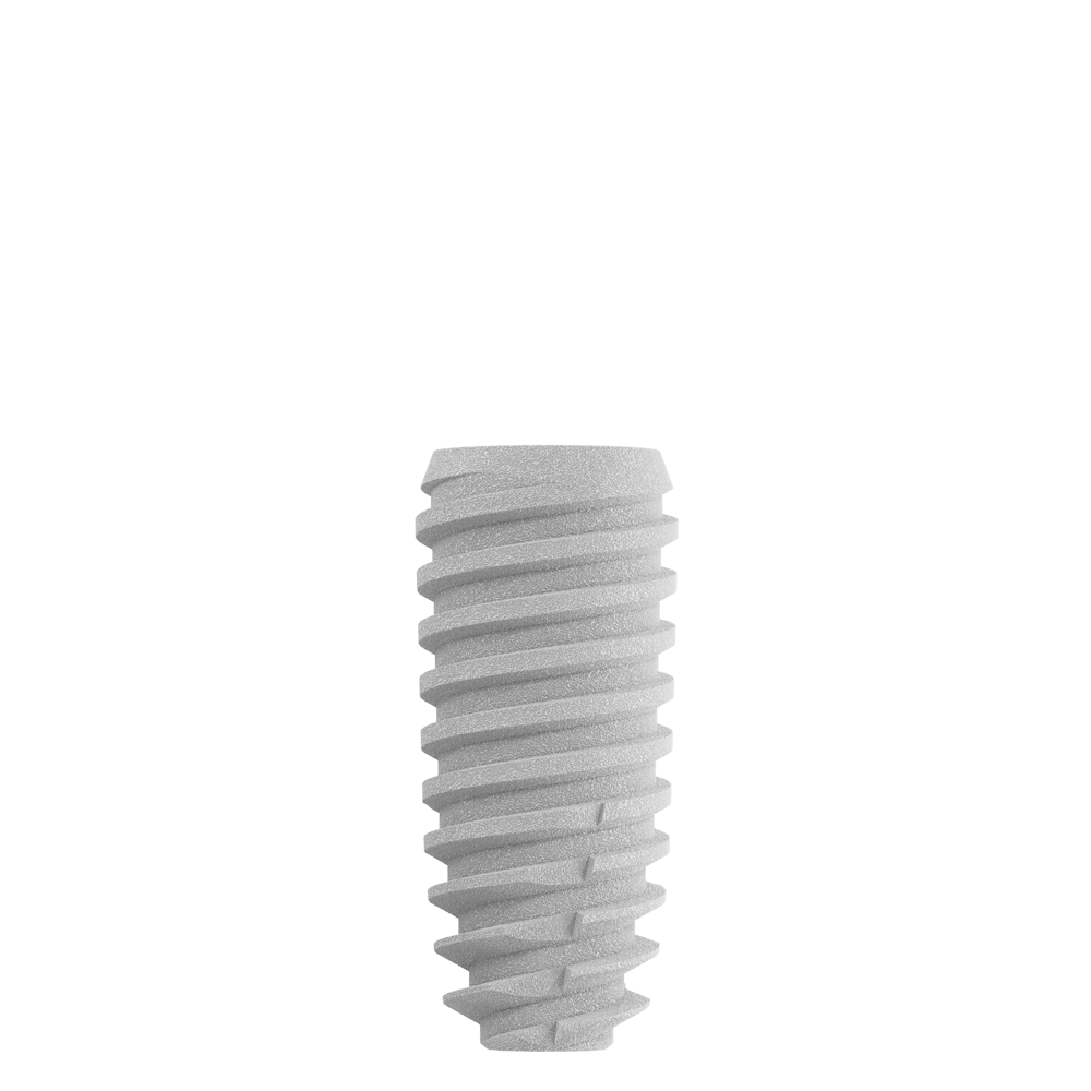 CS4009