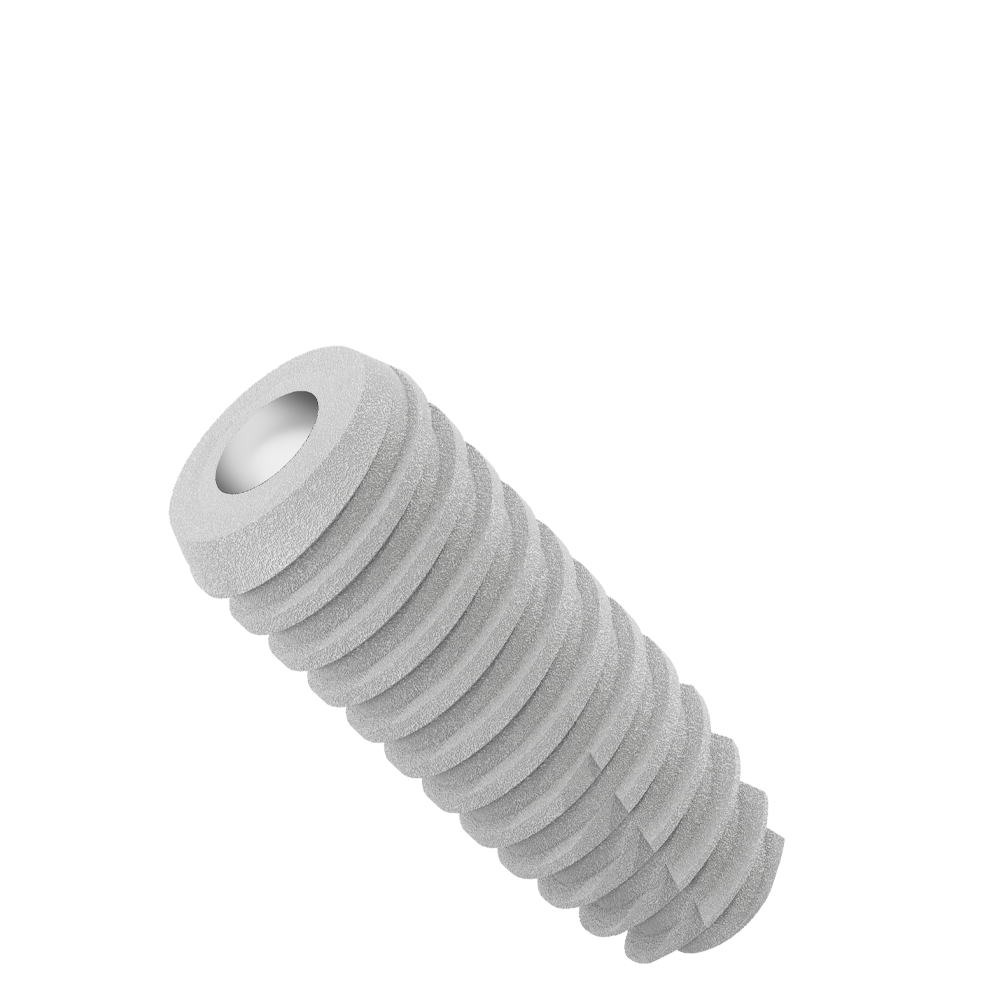 CS4010