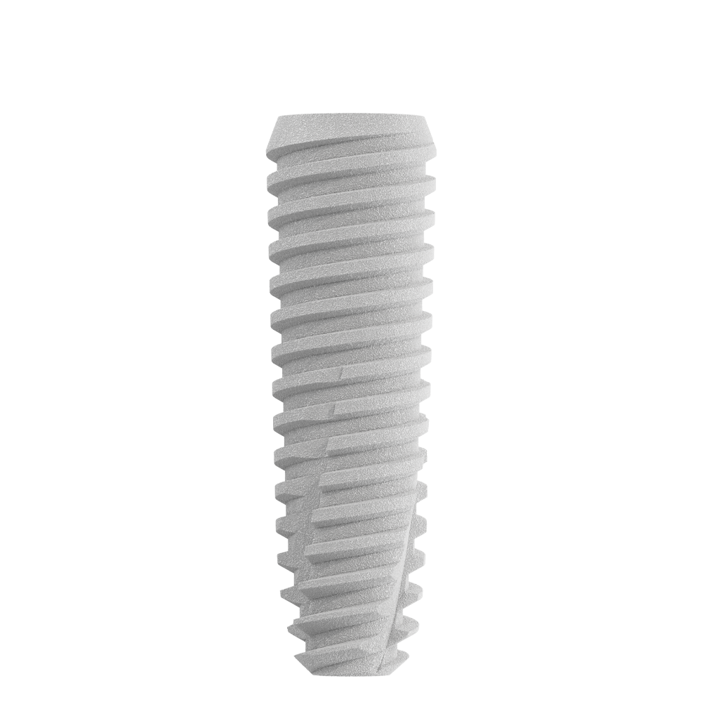 CS4013
