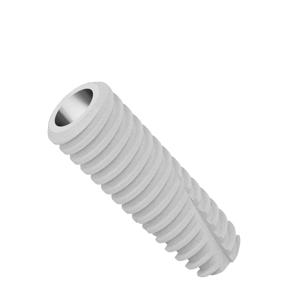 CS4011