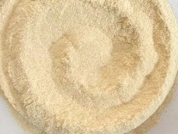 豌豆栽培