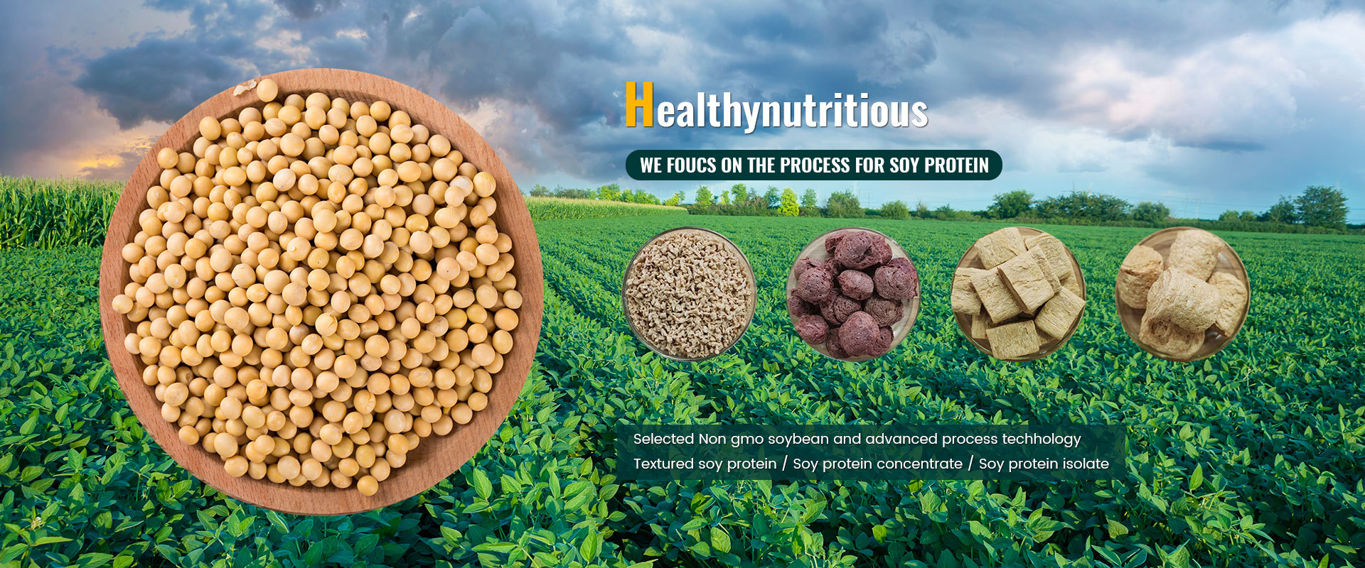 Soy protein