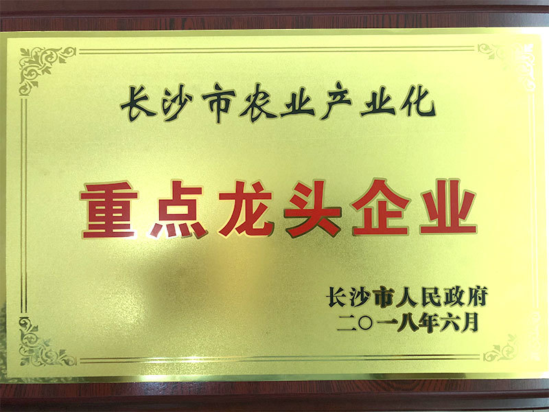 重點(diǎn)龍頭企業(yè)