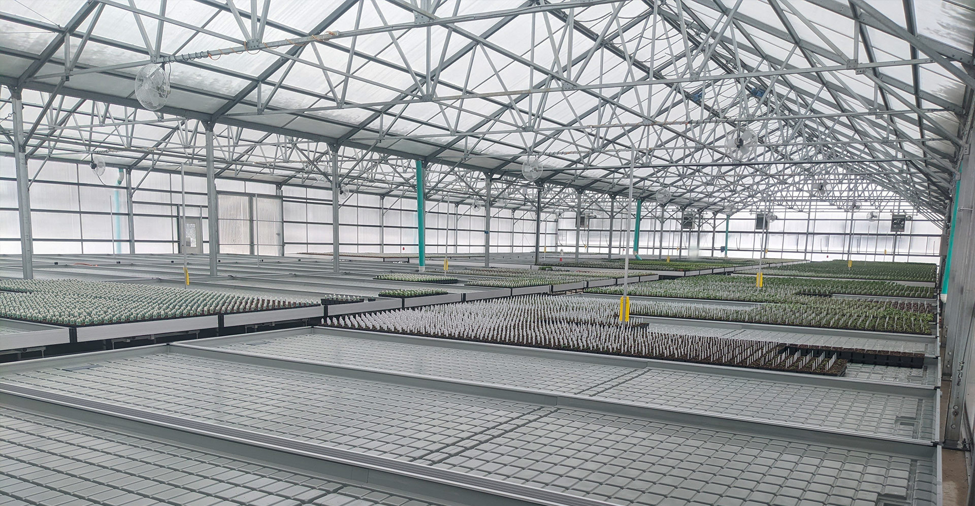 Shouguang Greentime Agriculture