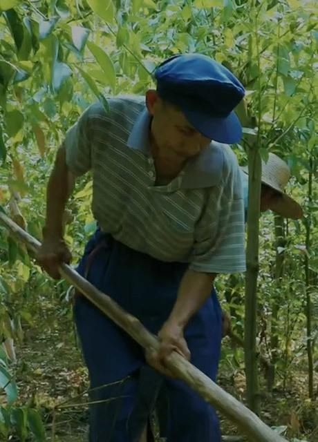 Shouguang Greentime Agriculture Technology 