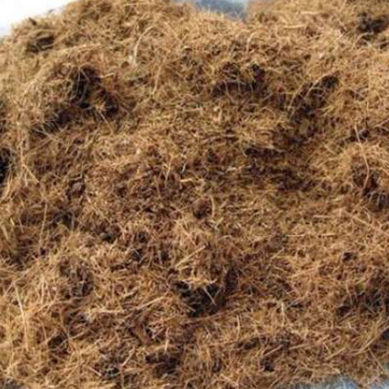 Coconut Peat