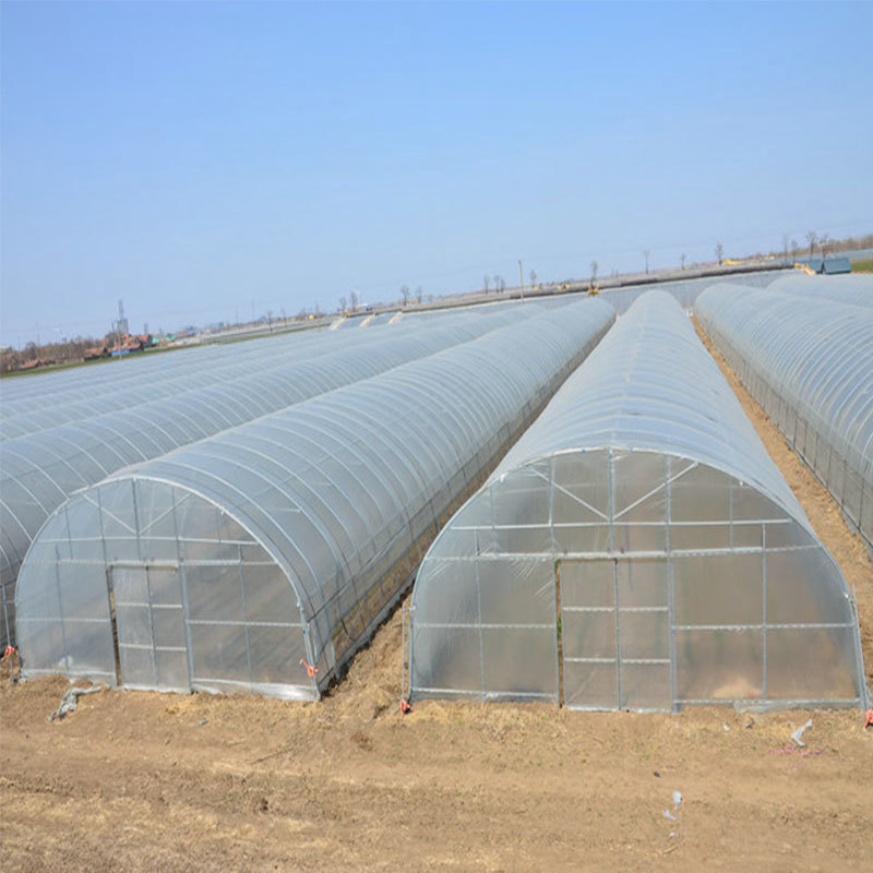 Tunnel Greenhouse