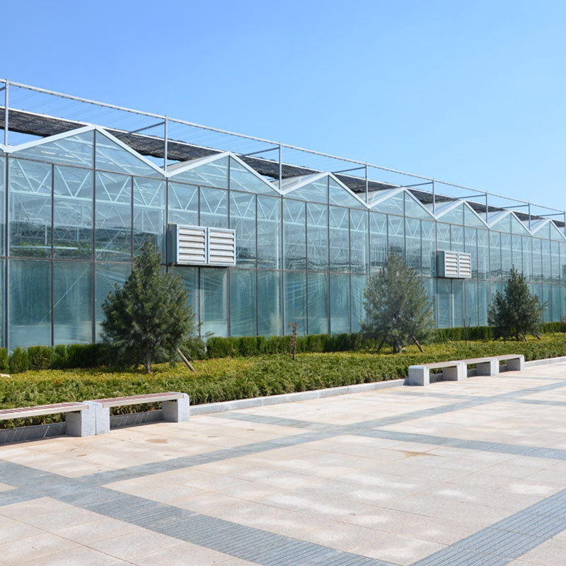 Glass Greenhouse