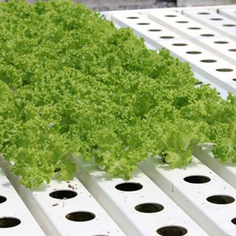 Hydroponics