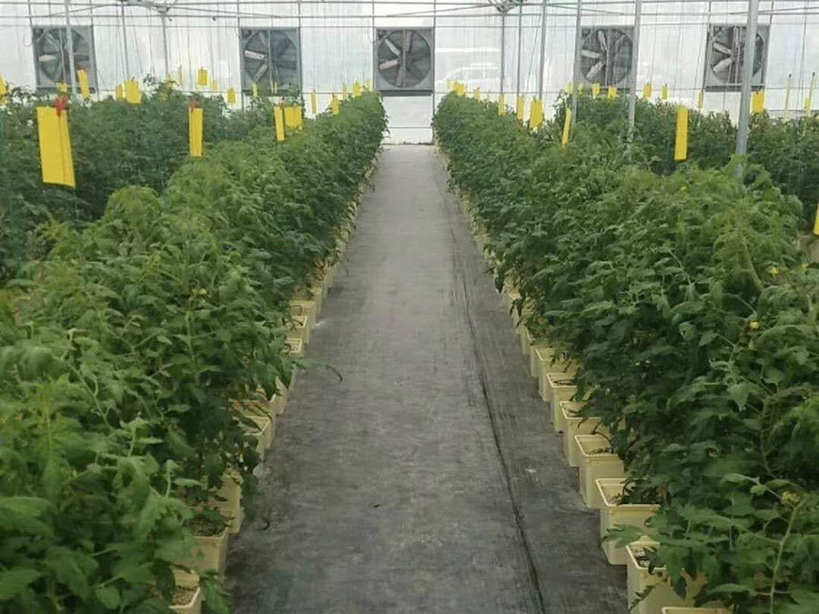 pic