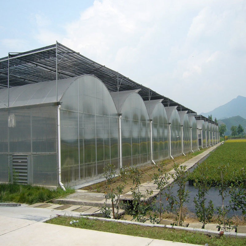 Polycarbonate Greenhouse