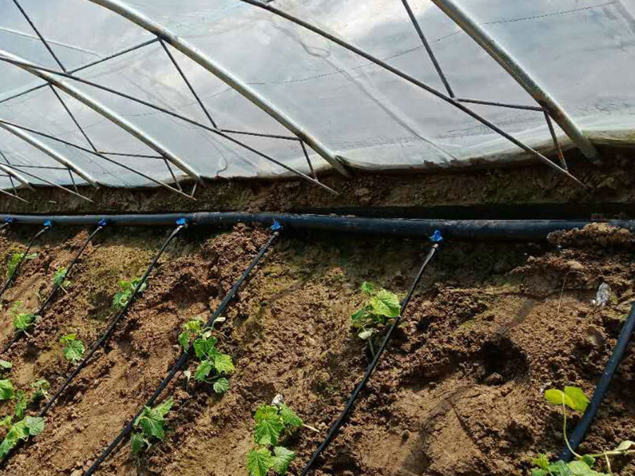 Drip Irrigation