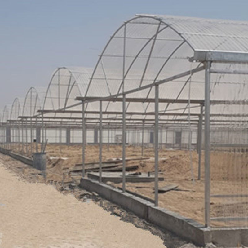 Corrugated Board Greenhouse