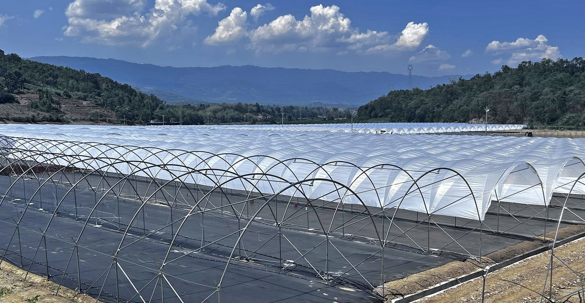 Shouguang Greentime Agriculture