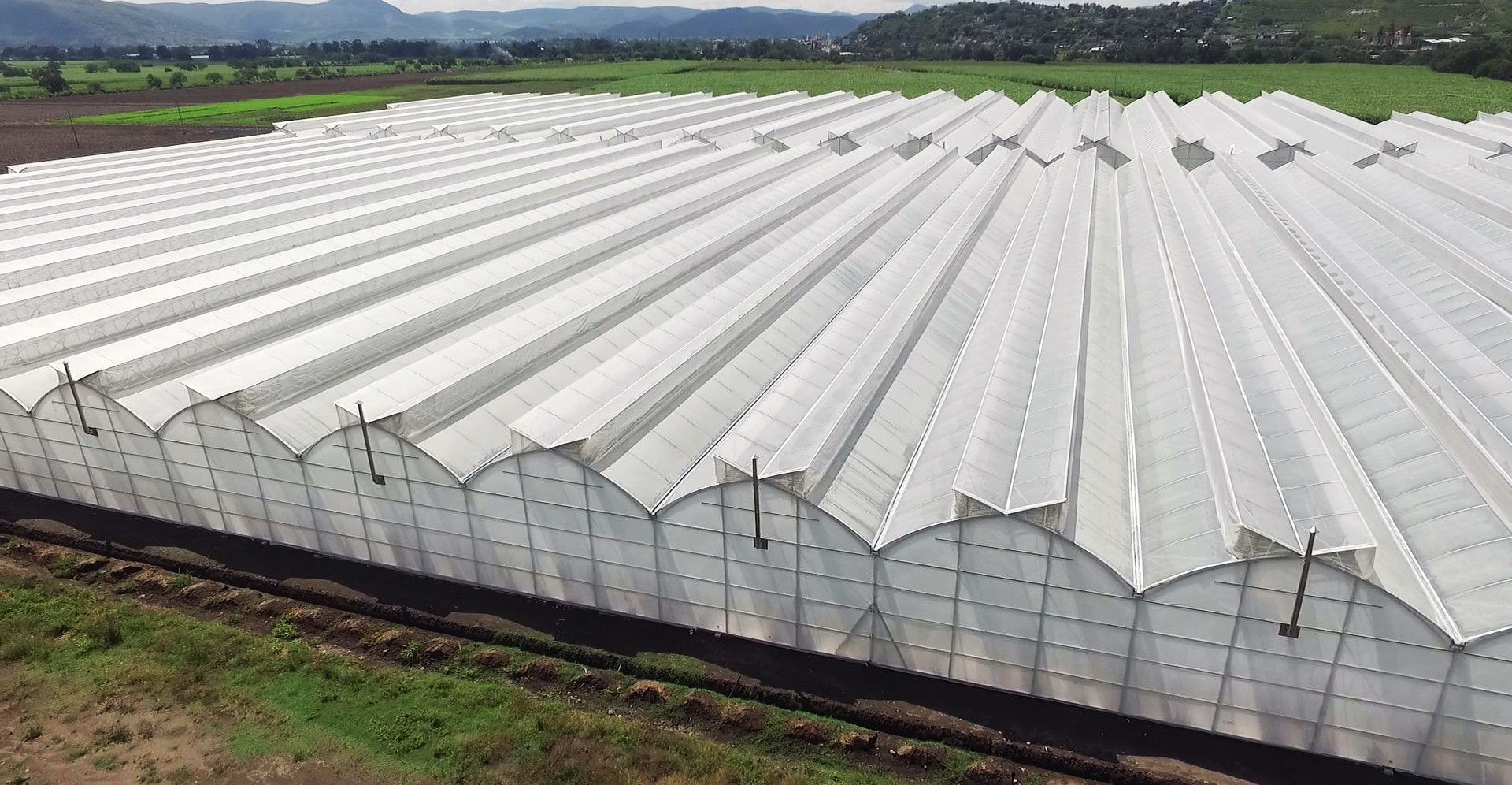 Shouguang Greentime Agriculture