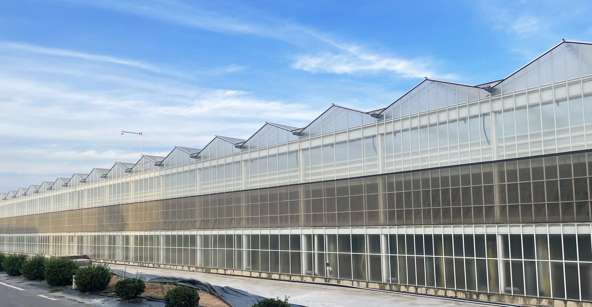 Shouguang Greentime Agriculture