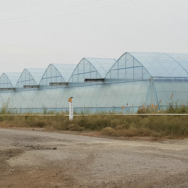 Multi-span Film Greenhouse