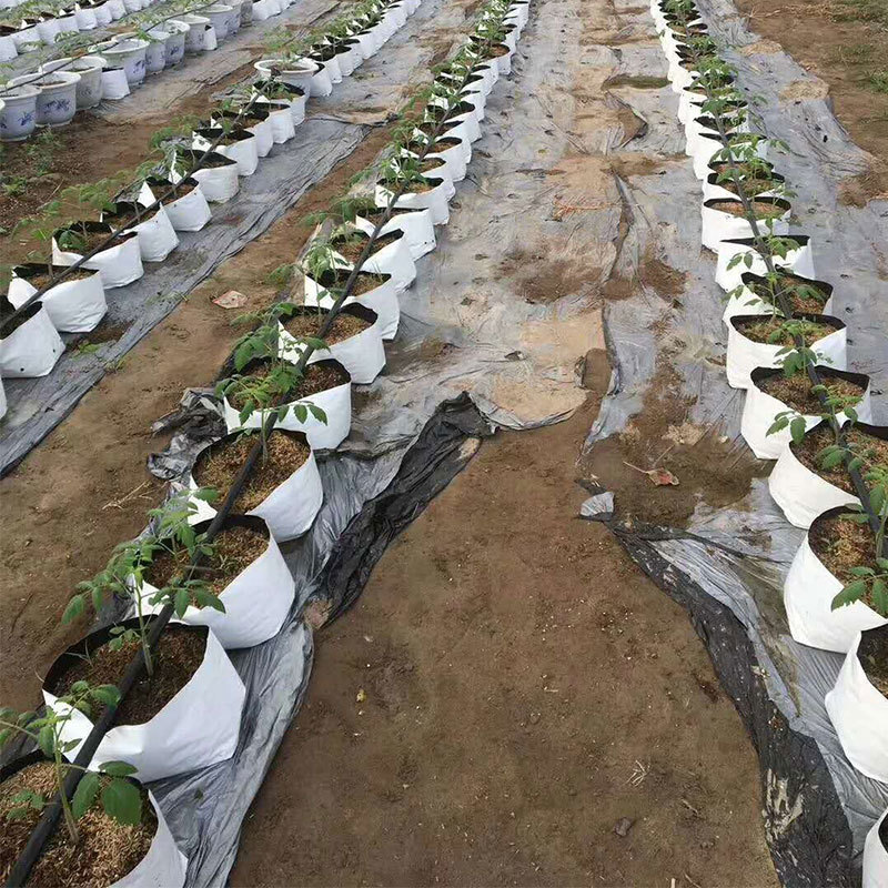 Planting Bag