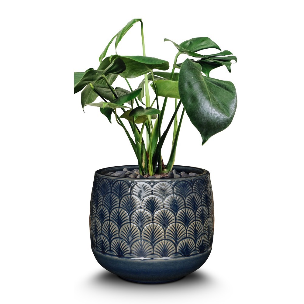Transform Your Garden with Stunning Magnesia Cement Pots