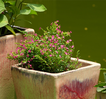 Flower Pot Accessories