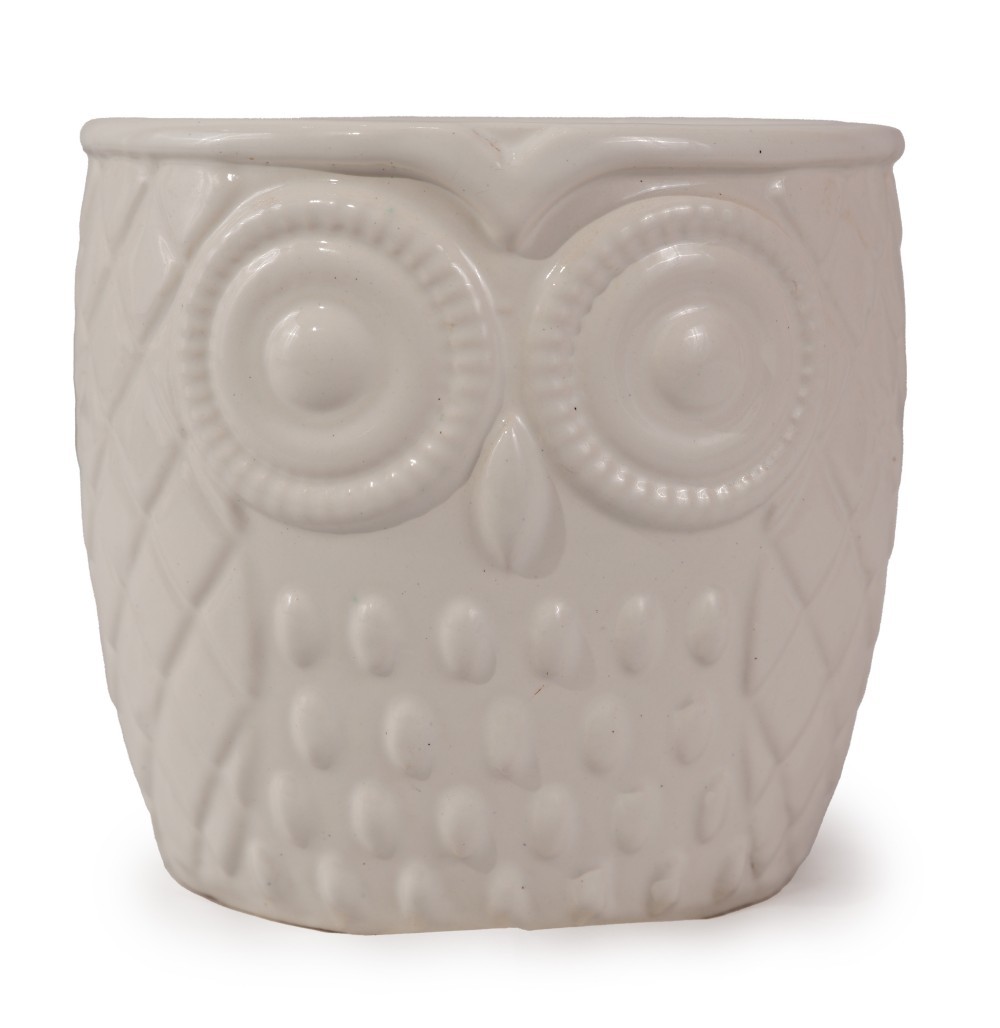 Exploring the Benefits of China Concrete Flower Pots with Two Ears for Your Garden