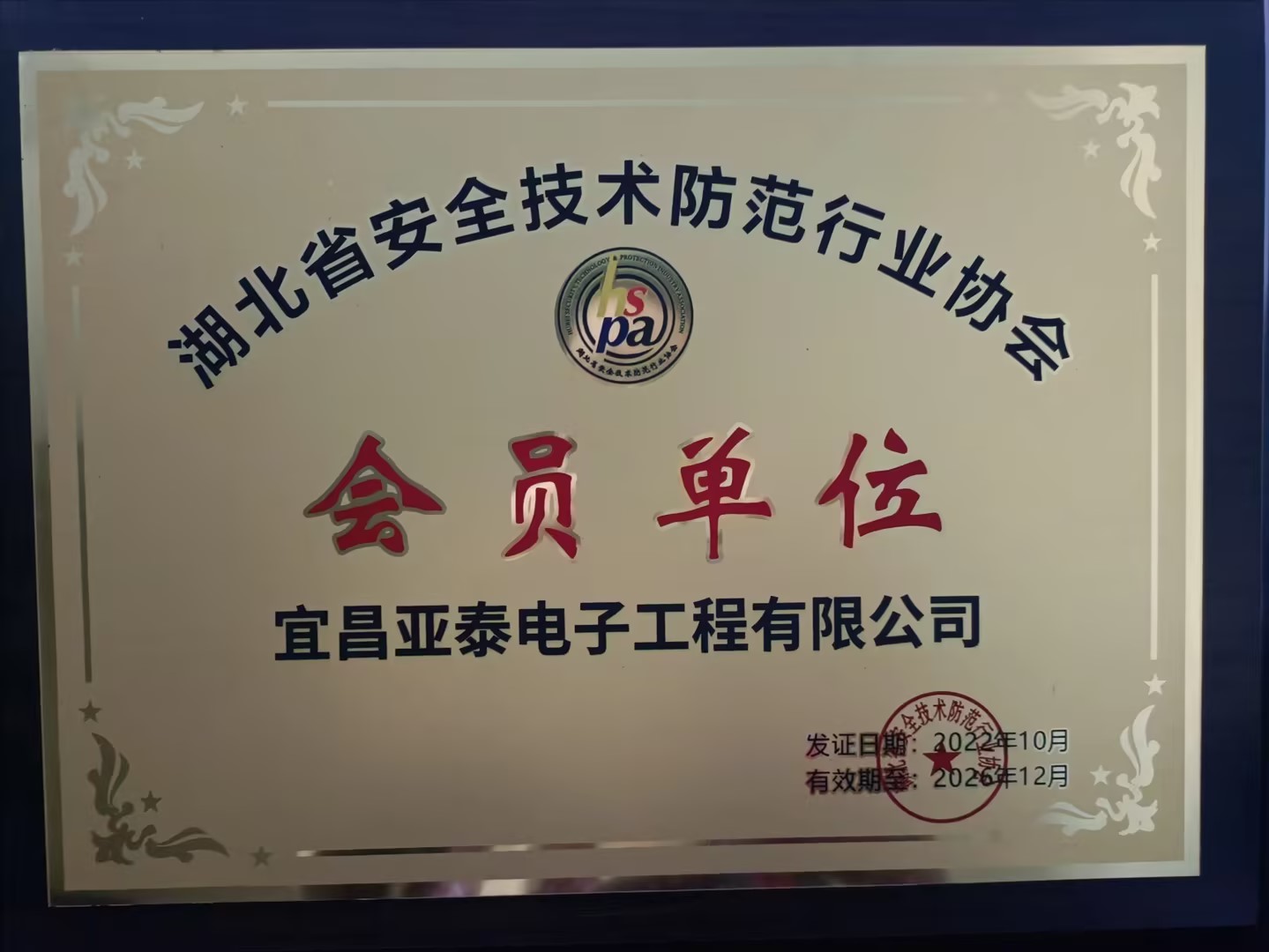 湖北省安全技術(shù)防范行業(yè)協(xié)會會員單位