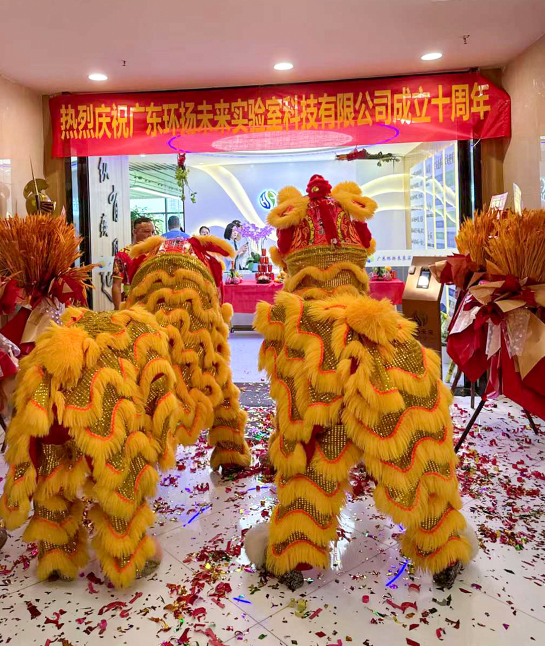 砥砺前行整十载 初心再上新征程 | 祝贺环扬未来成立10周年!