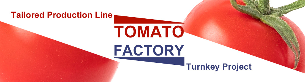 Turnkey Project Solution