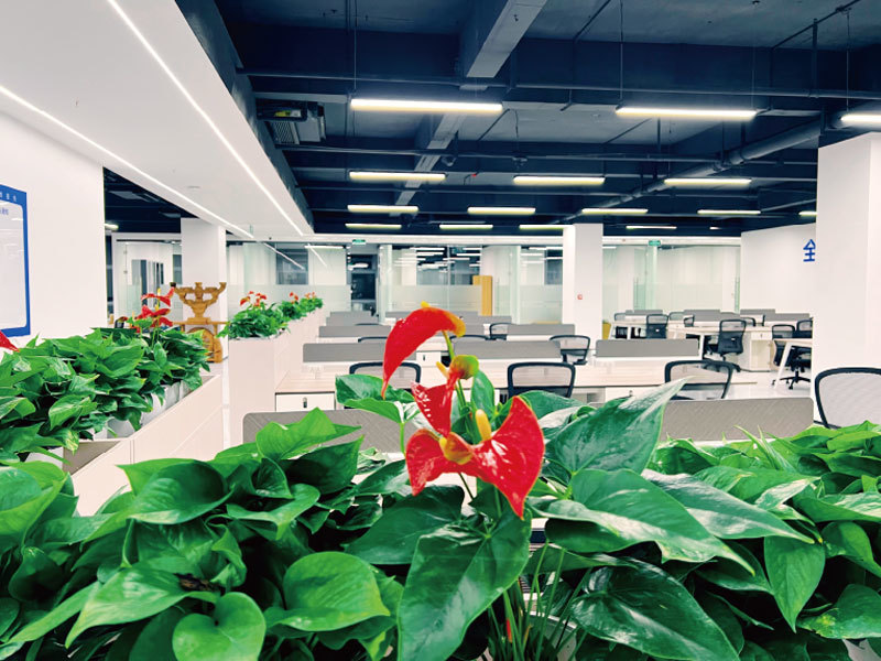 公司照片
