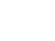 Automotive Industry