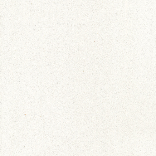 萨尔白
