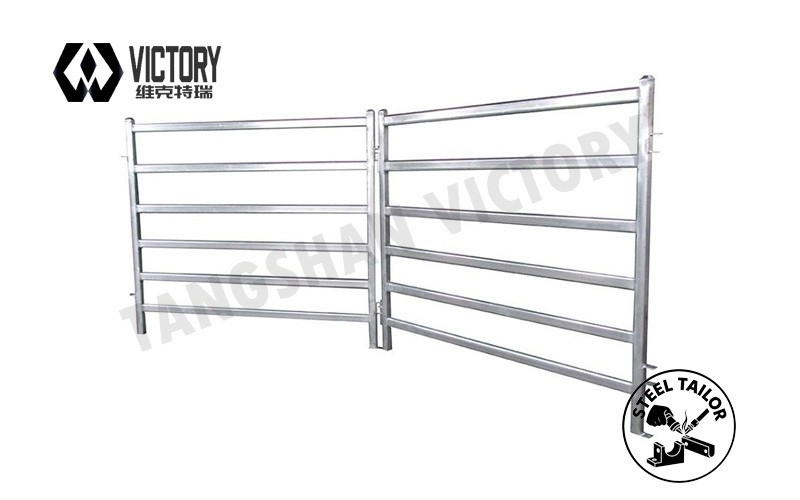 Cattle & Horses Fence