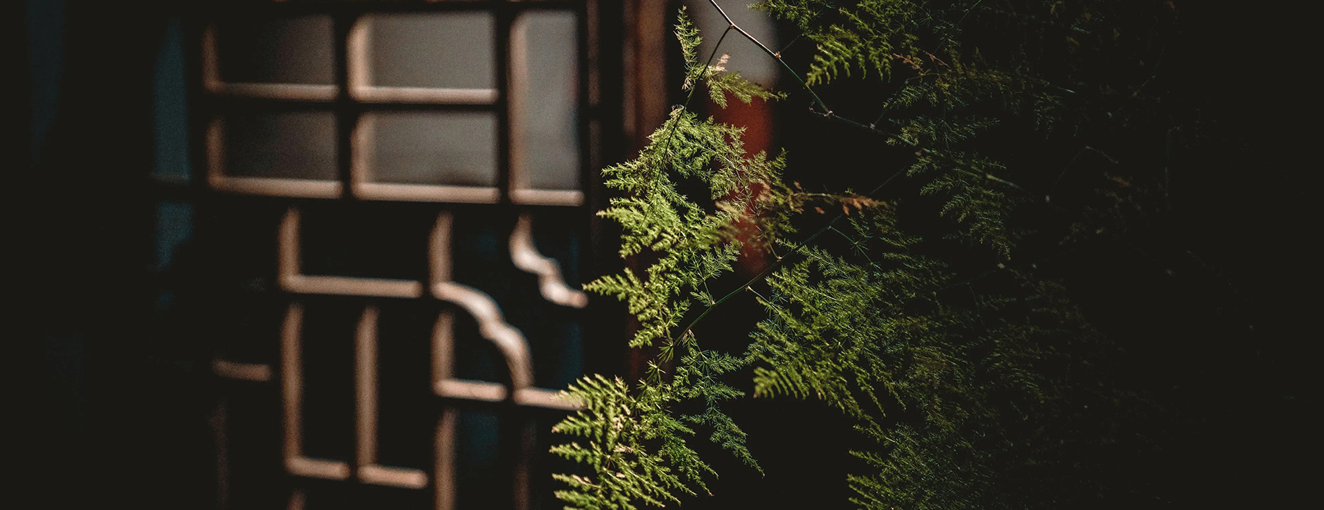 联系