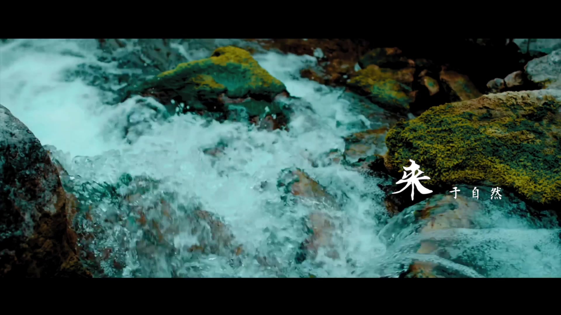 枫桥酒厂