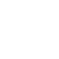 Bridges Bridges