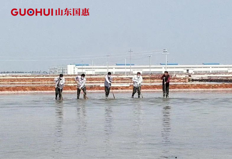 đăng nhập v9bet