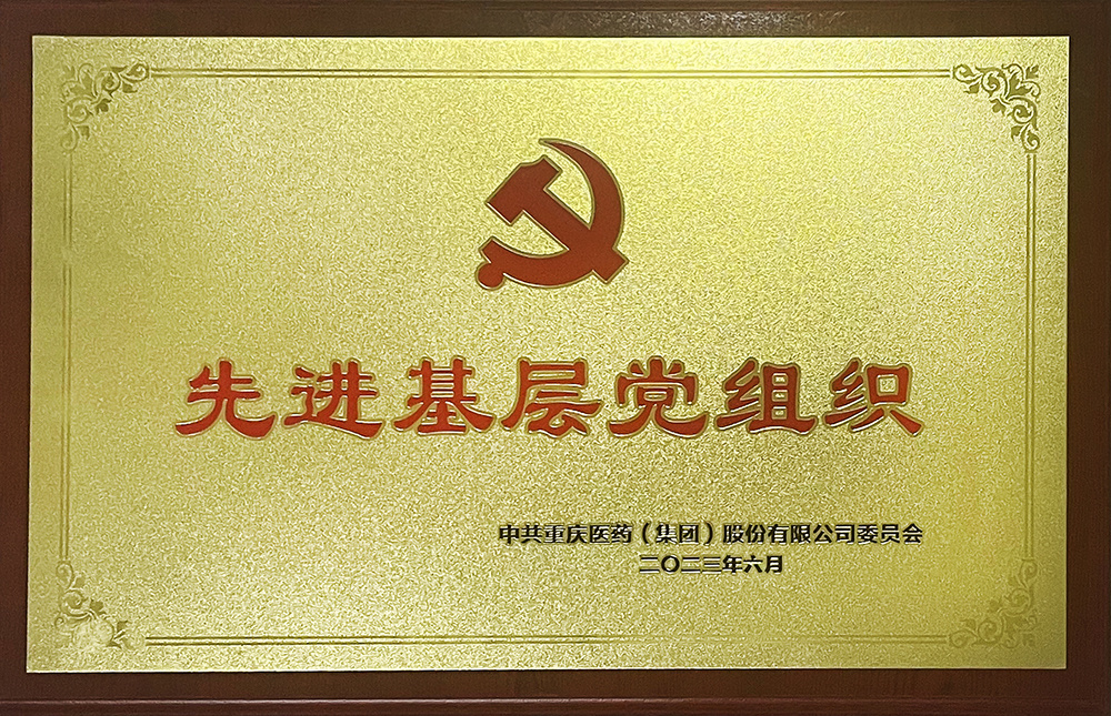 鍏堣繘鍩哄眰鍏氱粍缁囩墝鍖?涓叡閲嶅簡鍖昏嵂(闆嗗洟)鑲′唤鏈夐檺鍏徃濮斿憳浼氭巿浜? title=