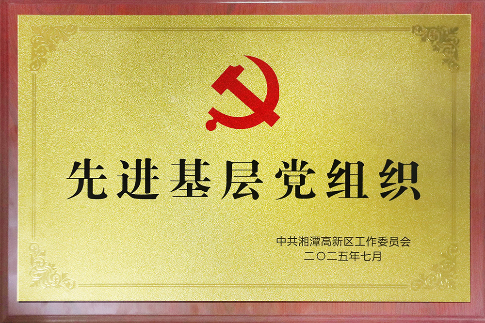 重藥控股湖南民生藥業(yè)有限公司黨支部【先進(jìn)基層黨組織】 重藥控股湖南民生藥業(yè)有限公司黨支部【先進(jìn)基層黨組織】