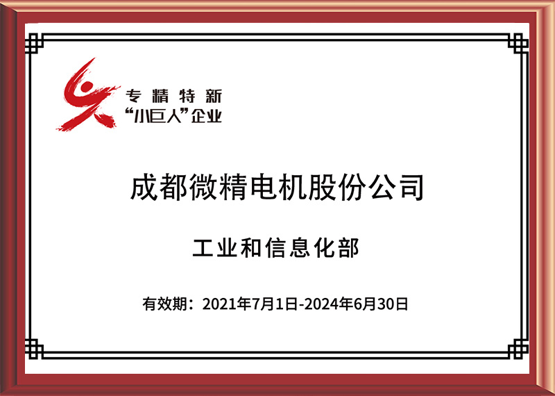 国家专精特新小巨人企业初审证书 国家专精特新小巨人企业初审证书