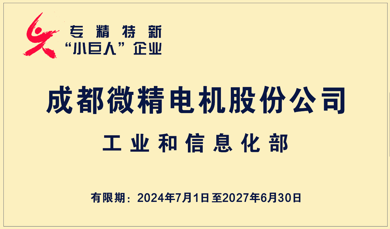 国家专精特新小巨人企业复核证书 国家专精特新小巨人企业复核证书