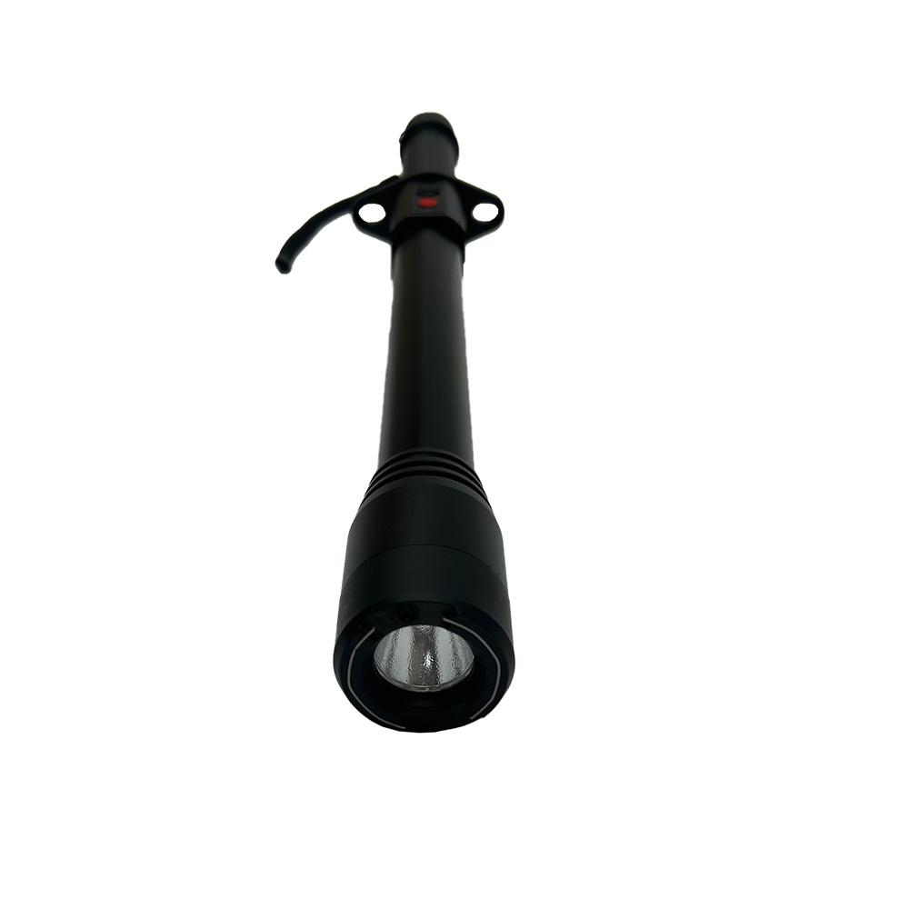 Flashlight stun baton