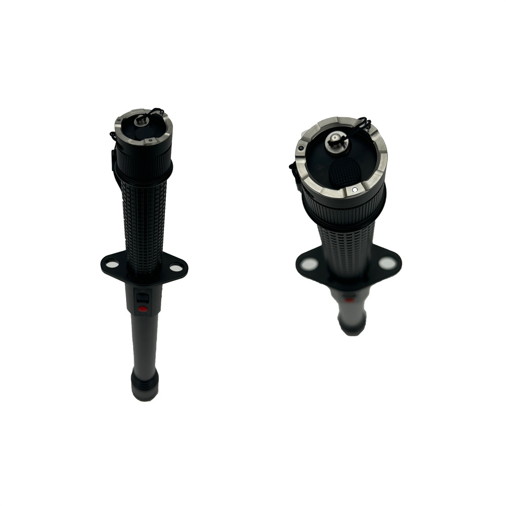 Flashlight stun baton