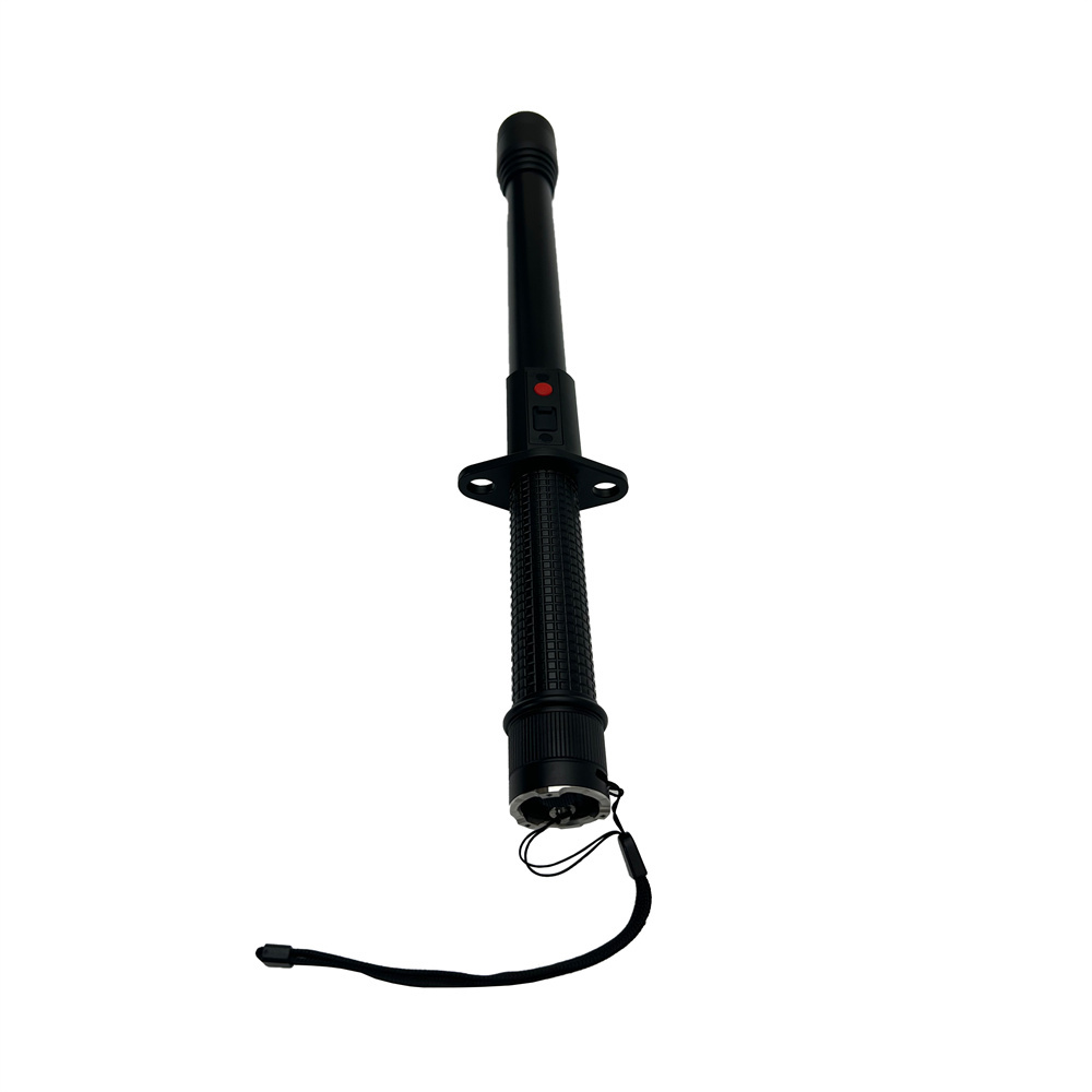 Flashlight stun baton