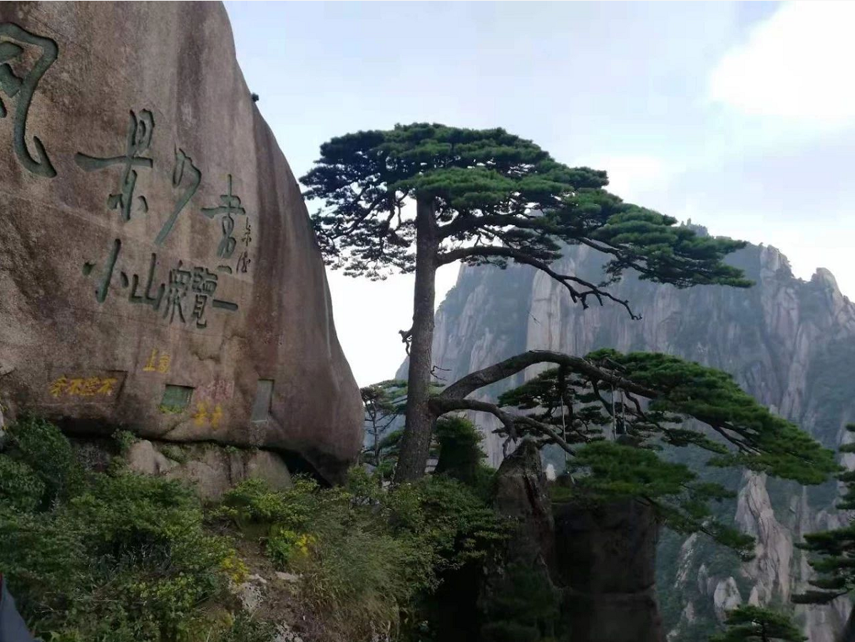 图片名称